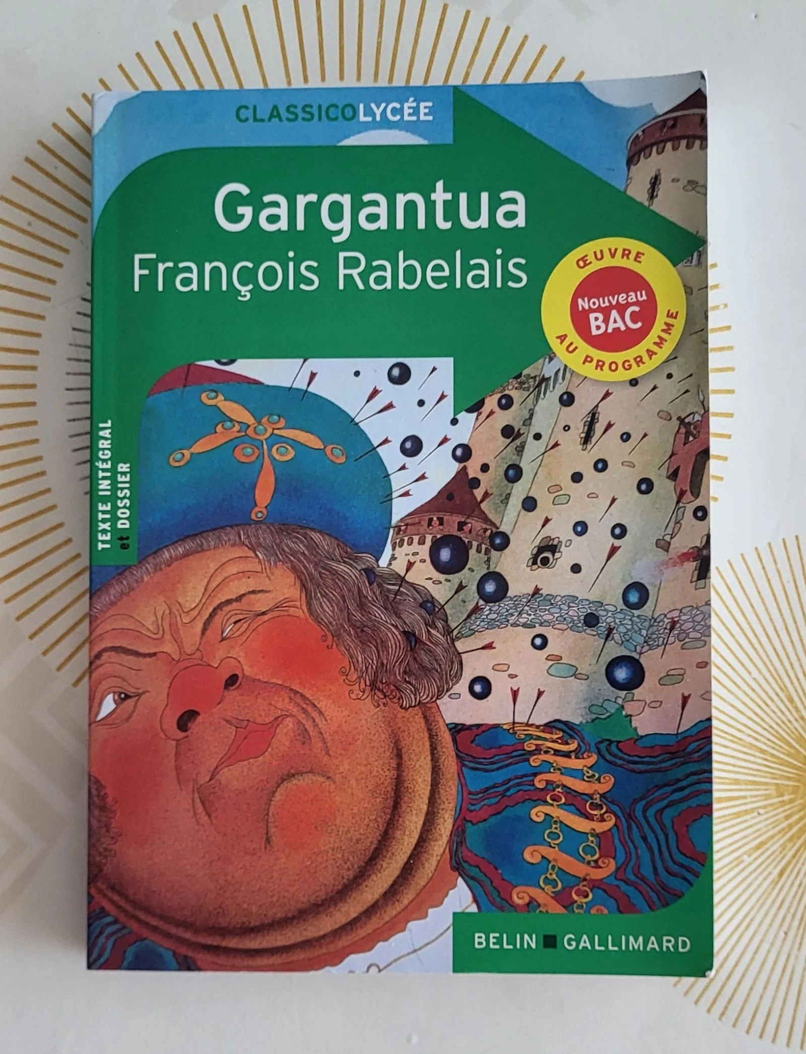 Lote de 8 livros/Obras do Programa Escolar – photo 17